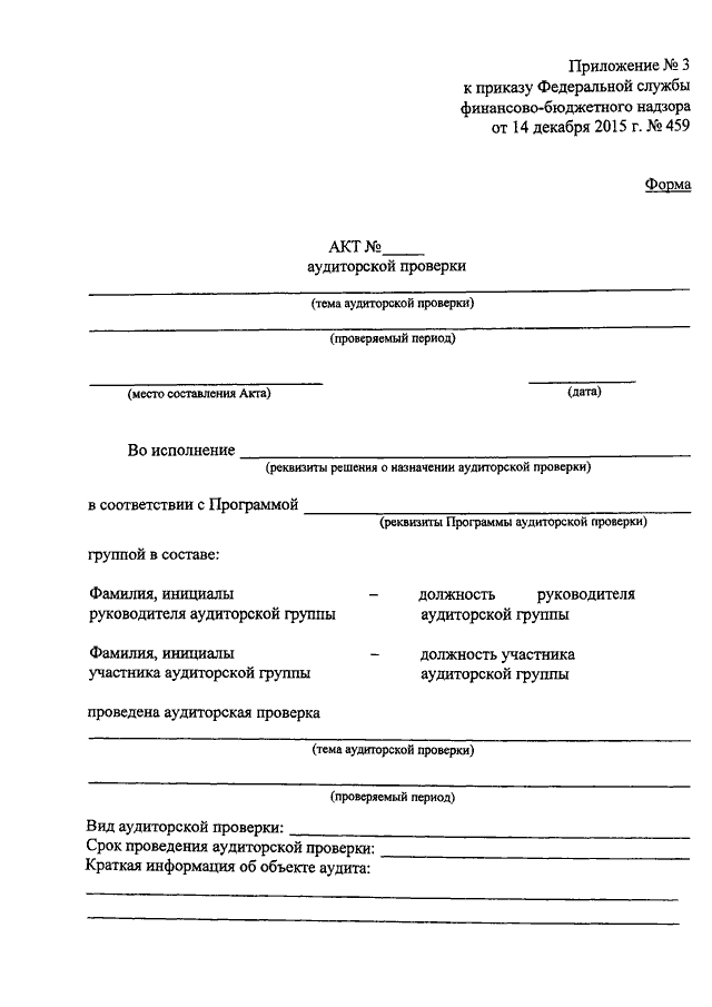 Акт аудита пример