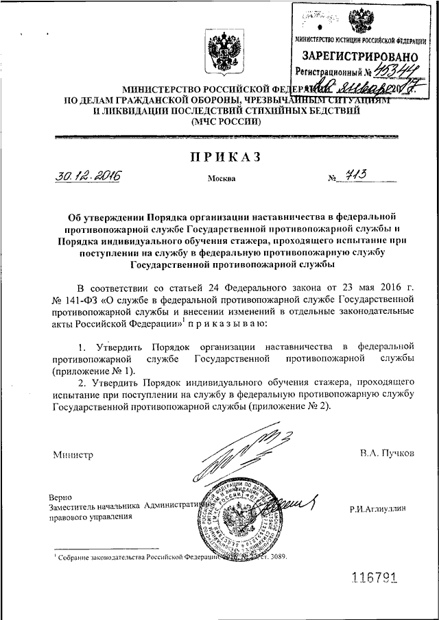 ПРИКАЗ МЧС РФ От 30.12.2016 N 713 "ОБ УТВЕРЖДЕНИИ ПОРЯДКА.